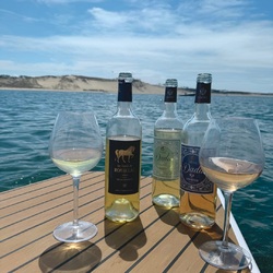 ☀️ Le Bassin d’Arcachon au fil de l’eau et du plaisir ☀️
 
C’est le temps de la détente et des vacances. Sur le Bassin d’Arcachon que ce soit en bateau sur l’eau, sur les belles terrasses des restaurants, chez vous autour d’un plateau de fruits de mer ou d’un barbecue entre amis et en famille, vous aurez surement plaisir à retrouver les vins de la Maison Cisneros et de Rouillac pour accompagner tous vos bon moments de détentes. 🍷
Le bassin d’Arcachon et les vins de la maison Cisneros, c’est une belle histoire de proximité, de goût et de partage. 🌊
 
👉 Retrouvez les vins du @chateauderouillac et de la @maisoncisneros dans les bonnes et belles adresses du Bassin d’Arcachon :
 
📍 Pyla-sur-mer : @lacoorniche @cafehaaitza @haaitza 
📍 Arcachon : @loublimoulleau @clubplagepereire @le_saint_ferdinand @cavavin_arcachon @lepiceriedumoulleau @poissonnerie.aiguillon 
📍 Test-de-Buch : @dockduvin @le_petit_casino_du_pyla 
📍 Lège-Cep-Ferret : @wharfcapferret @cotesable_capferret @alicecapferret 
 
–
 
Boutique de la Maison Cisneros au Château de Rouillac ouverte du lundi au samedi et boutique en ligne.
📍 12 Chem. du 20 Août 1949, 33610 Canéjan
📧 contact@maisoncisneros.com
☎️ 05.57.12.84.63
 
⚠️ L’abus d’alcool est dangereux pour la santé, à consommer avec modération.
 
#chateauderouillac #pessacleognan #bordeaux #famillecisneros #famillelaurentcisneros #vin #vinsdebordeaux #wine #dada #dadaderouillac #rosedesvents #maisoncisneros #dadamania wine #wineexperience #passionduvin #vacances #bassindarcachon