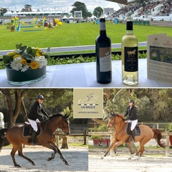 🐎La Maison Cisneros et le Château de Rouillac omniprésents ce week-end au jumping international de La Baule 🐎

Comme chaque année, Laurent Cisneros et sa fille Mélanie Cisneros auront le plaisir de participer aux épreuves du CSI 1* du Jumping de La Baule 2024 qui rassemble l’élite du saut d’obstacles international, avec pour cette édition une belle première pour leurs « nouveaux dadas ». 
 
🐴 Hudson du Grizzly avec Laurent Cisneros, un jeune cheval de 7 ans arrivé dans les écuries fin janvier, pour prendre le relais progressif de la fabuleuse Uranie encore en convalescence.
 
🐴 Gemme de Rouillac avec Mélanie Cisneros, sa jument de 8 ans née aux écuries du Château surnommée aussi « Little Dada ».

Partenaires pour la 7ème édition consécutive de ce magnifique concours, retrouvez en exclusivité les vins de La Maison Cisneros et du Château de Rouillac dans dans tous les restaurants du jumping. 🍷

👉 Épreuves en direct sur le site du jumping : https://www.labaule-cheval.com/fr/
👉 Horaires et ordre de passage sur tous nos réseaux sociaux. 

⚠️ Première épreuve CSI 1* : jeudi 6 juin - 16h50 
Hudson du Grizzly avec Laurent Cisneros : numéro 8
Gemme de Rouillac avec Mélanie Cisneros : numéro 31

–

#chateauderouillac #pessacleognan #bordeaux 
#maisoncisneros #famillecisneros #famillelaurentcisneros
#vin #vinsdebordeaux #wine #dadaderouillac
#horses #dada #jumping 
#evenement #jumpingLaBaule